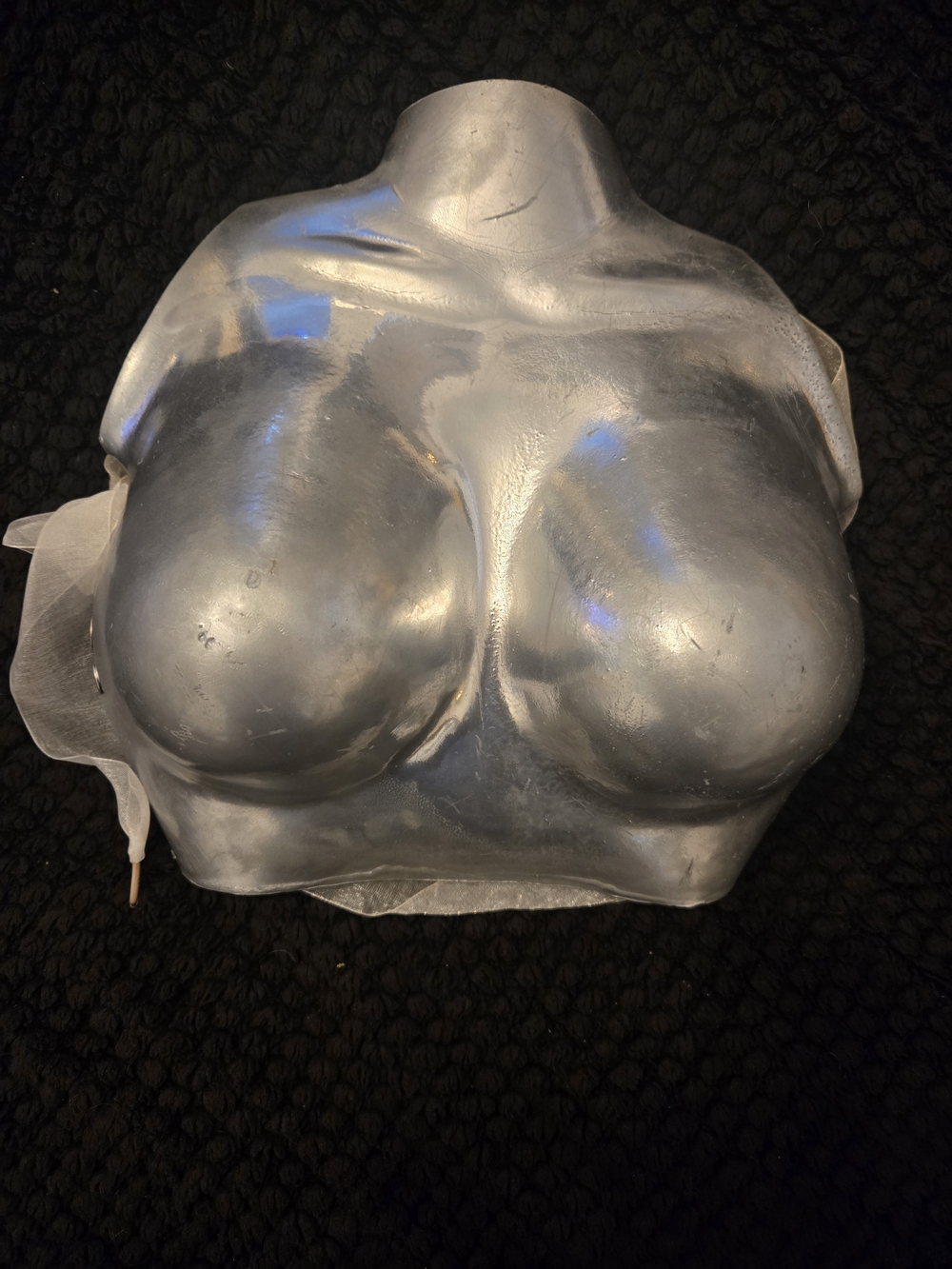Source Unknown Silver Metallic Bust Hard Top